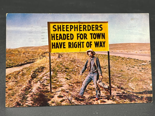 Sheepherders have the Right of Way