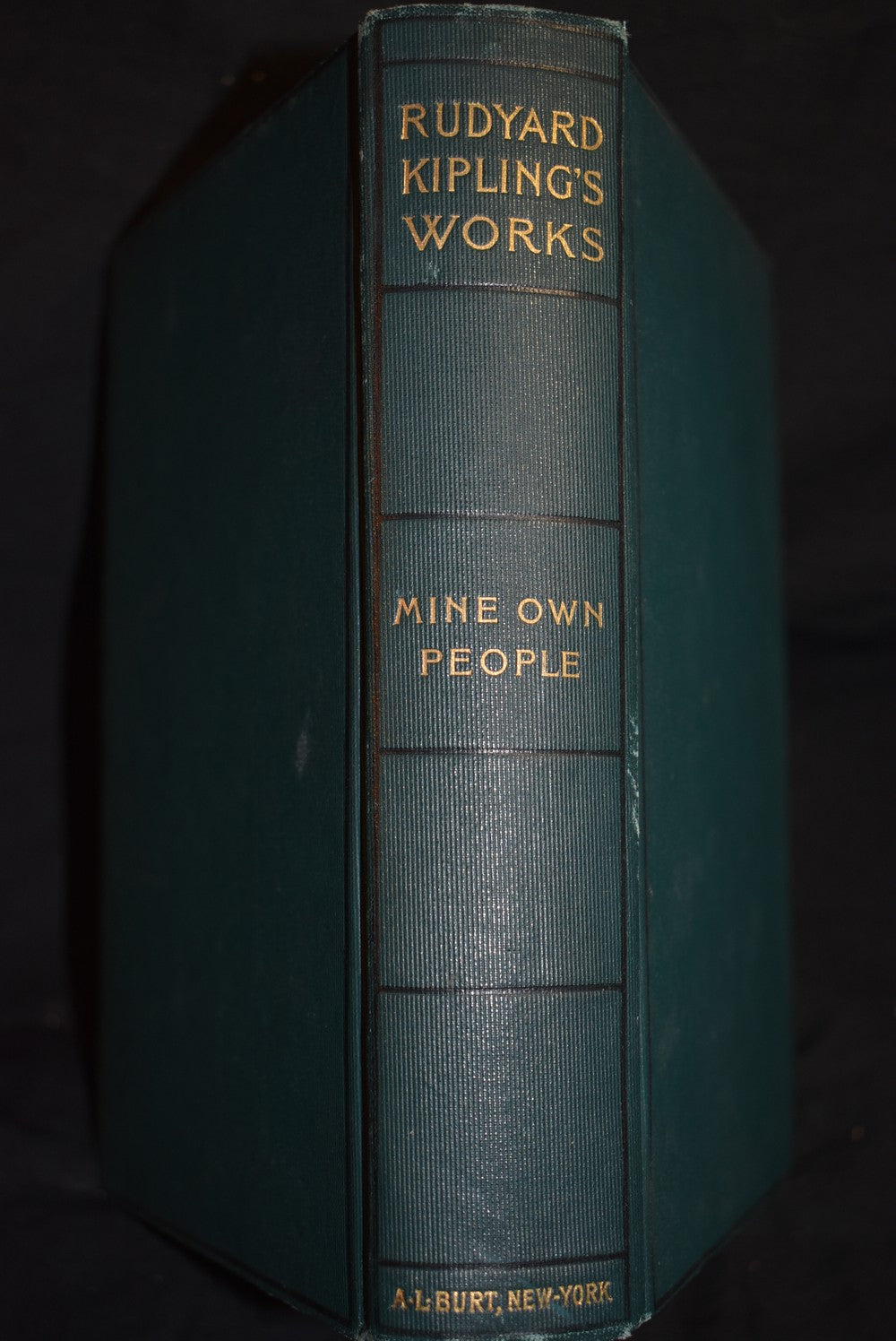 Mine Own People: The Courting of Dinah Shadd