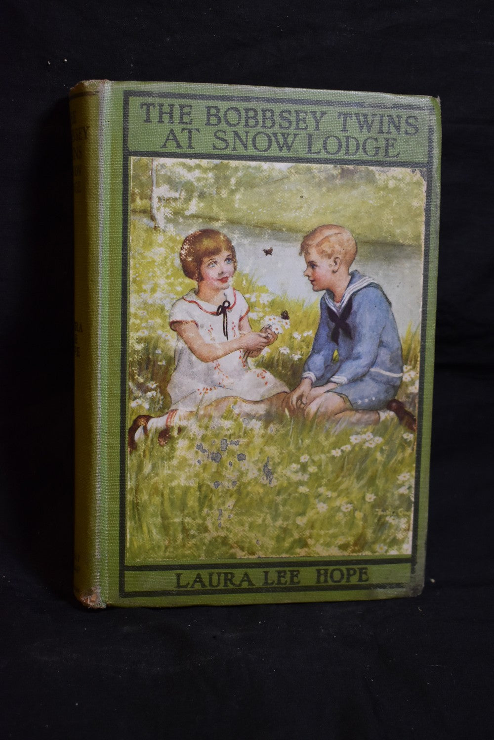 The Bobbsey Twins at Snow Lodge