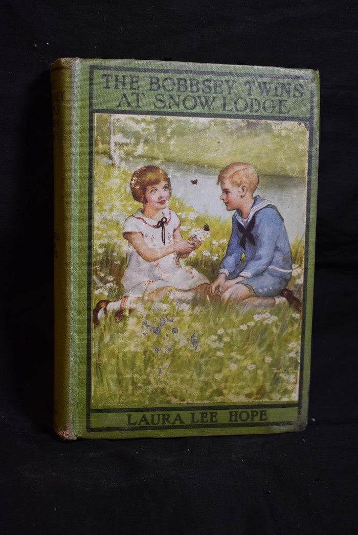 The Bobbsey Twins at Snow Lodge