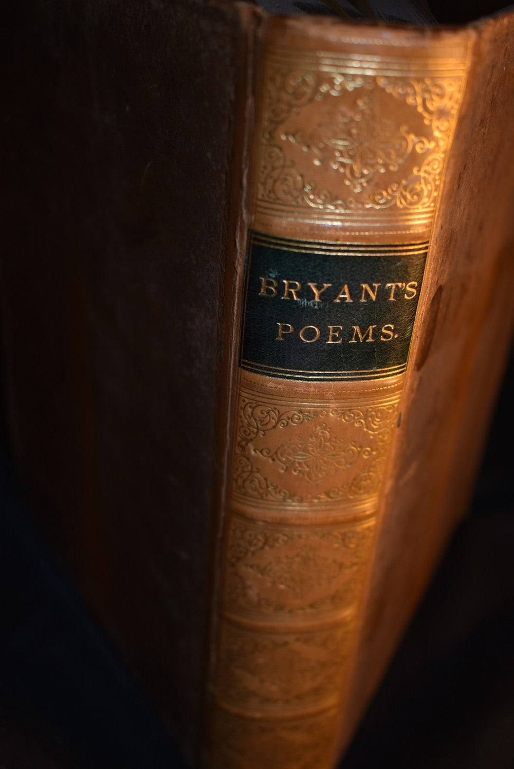 Poems of William Cullen Bryant : Collected and Arranged by the Author