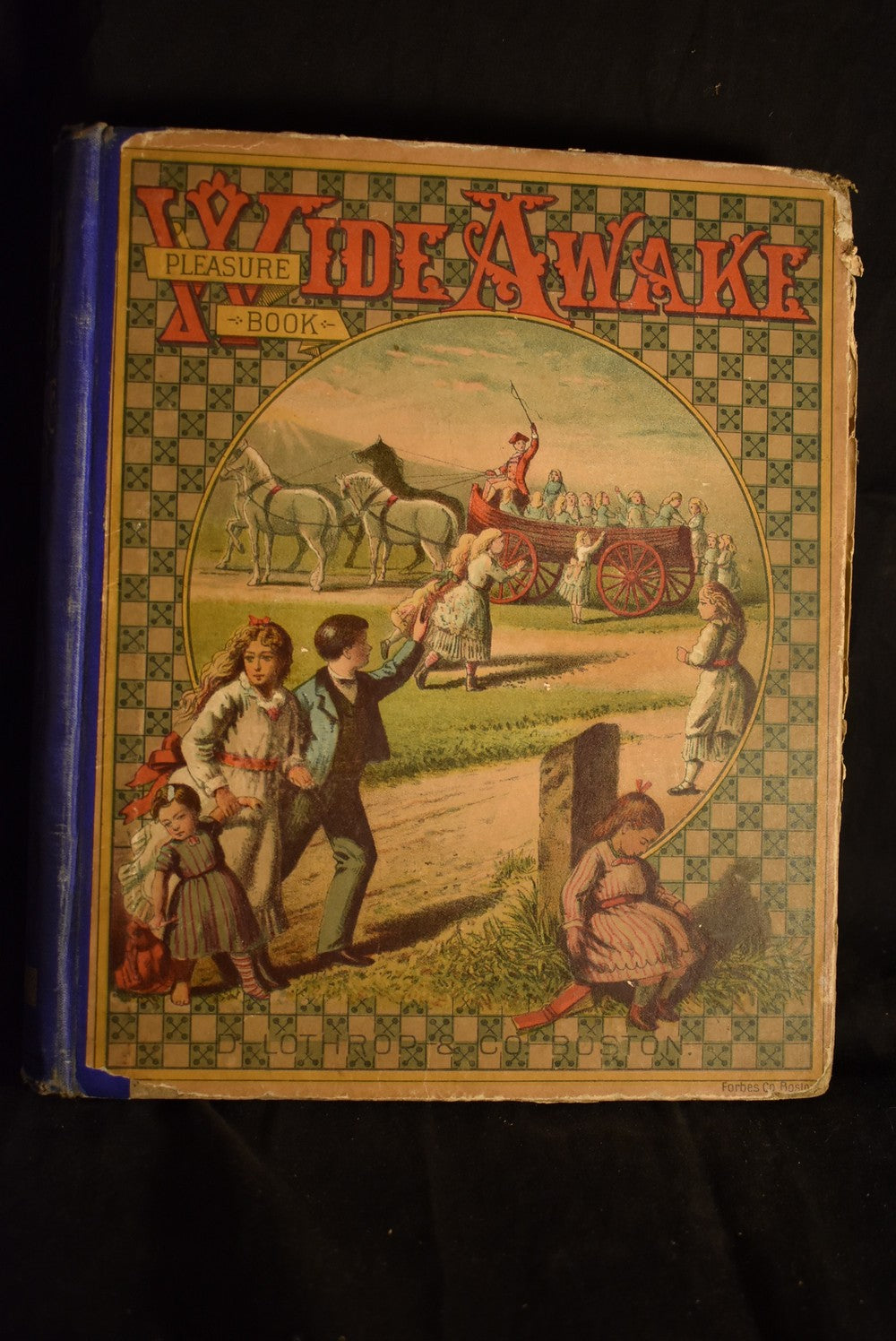 Wide Awake Pleasure Book
