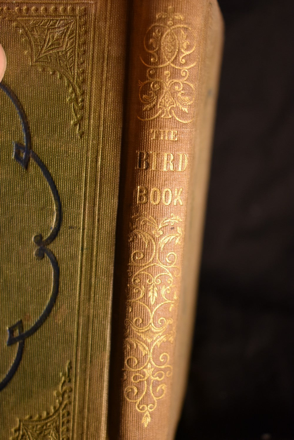 The Bird Book