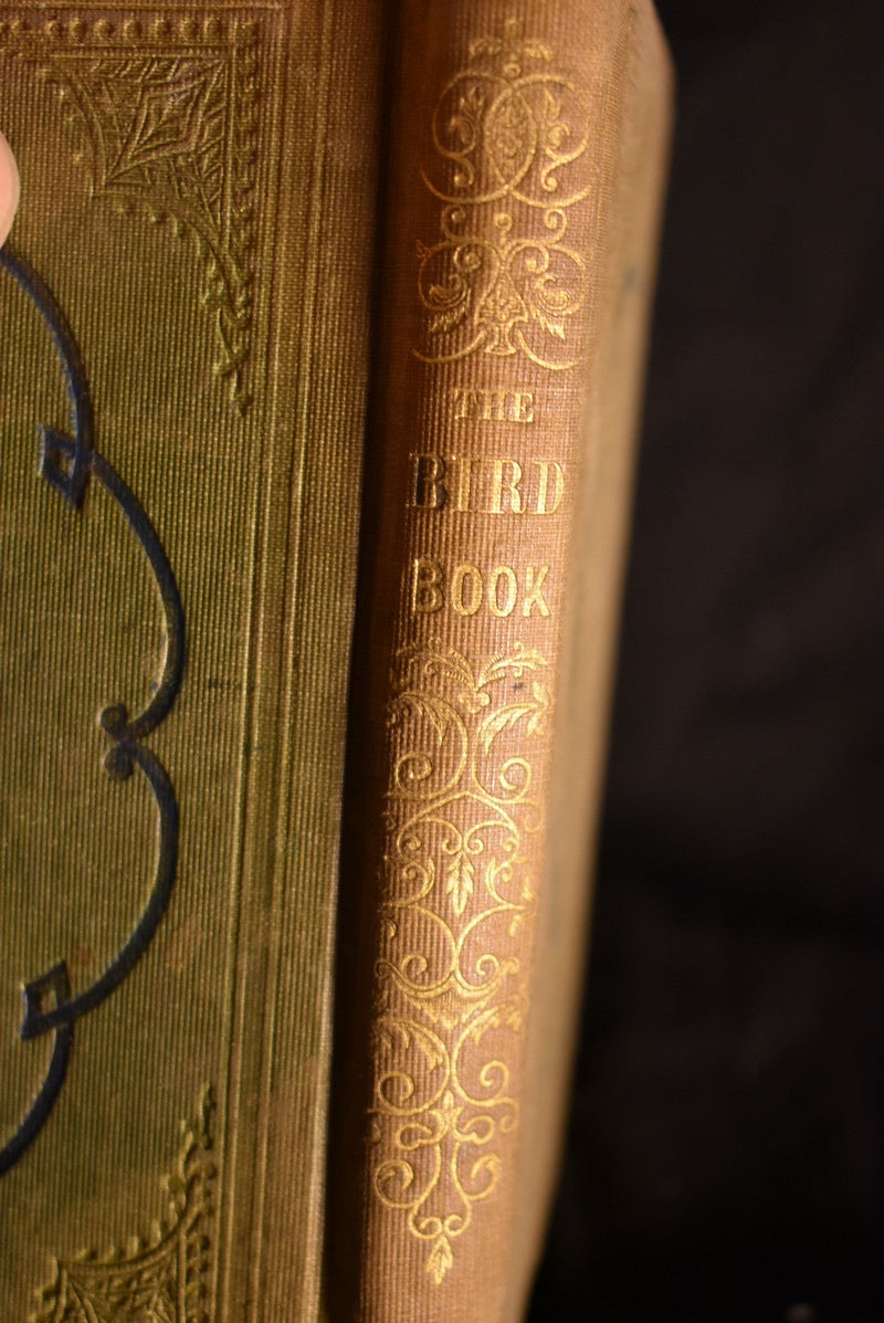 The Bird Book