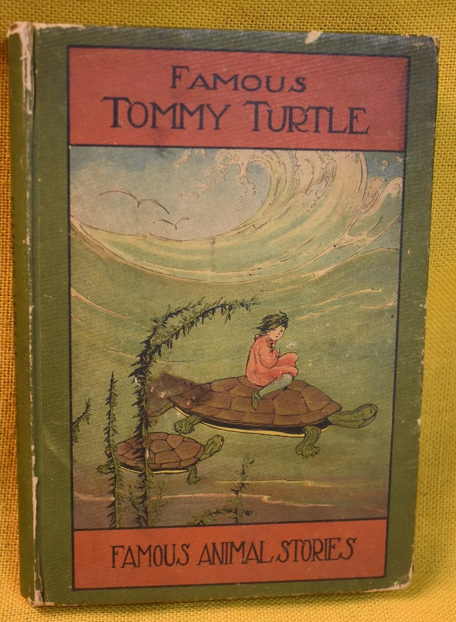 Famous Tommy Turtle