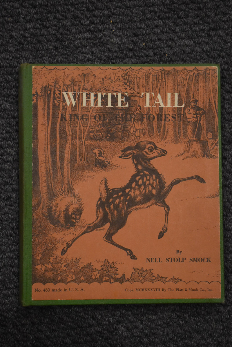 White Tail: King of the Forest