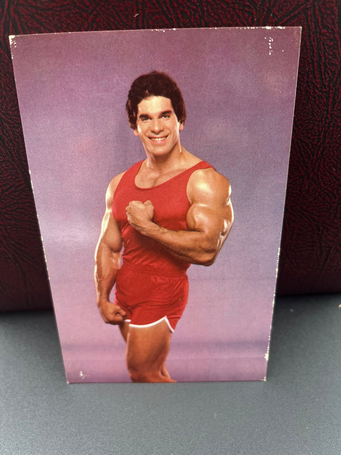 Lou Ferrigno