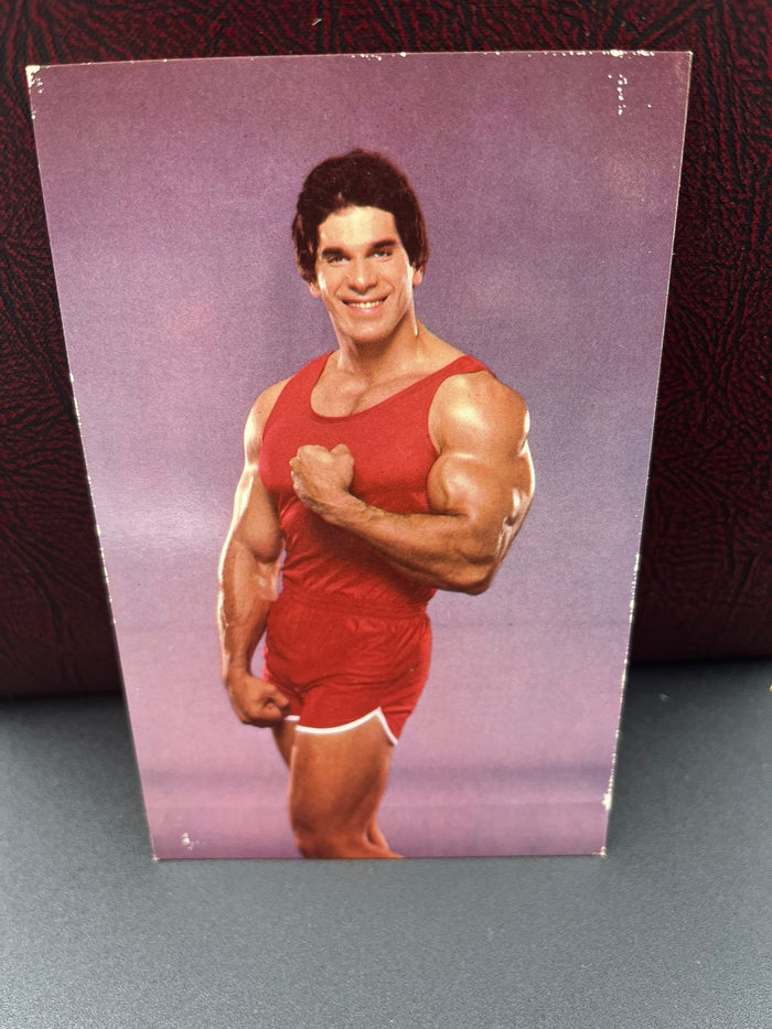 Lou Ferrigno 1