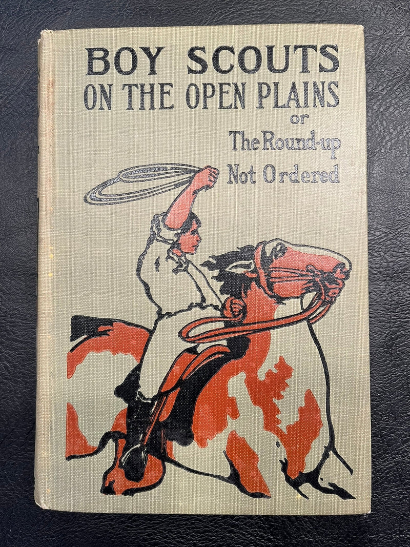 Boy Scouts on the Open Plains or The Round-up Not Ordered