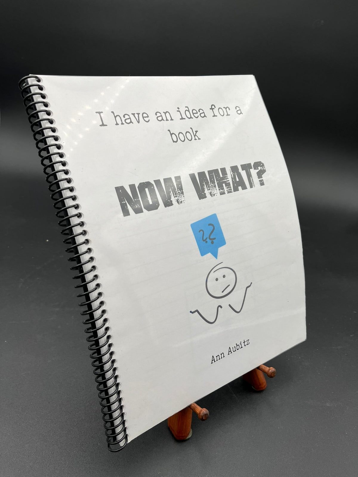I Have an Idea for a Book NOW WHAT?