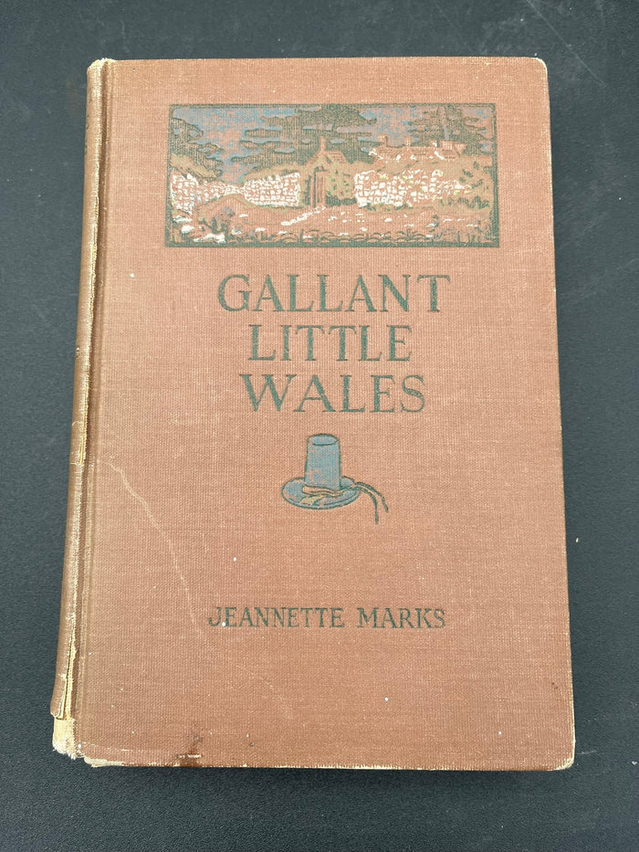 Gallant Little Wales: Sketches of Its People, Places and Customs