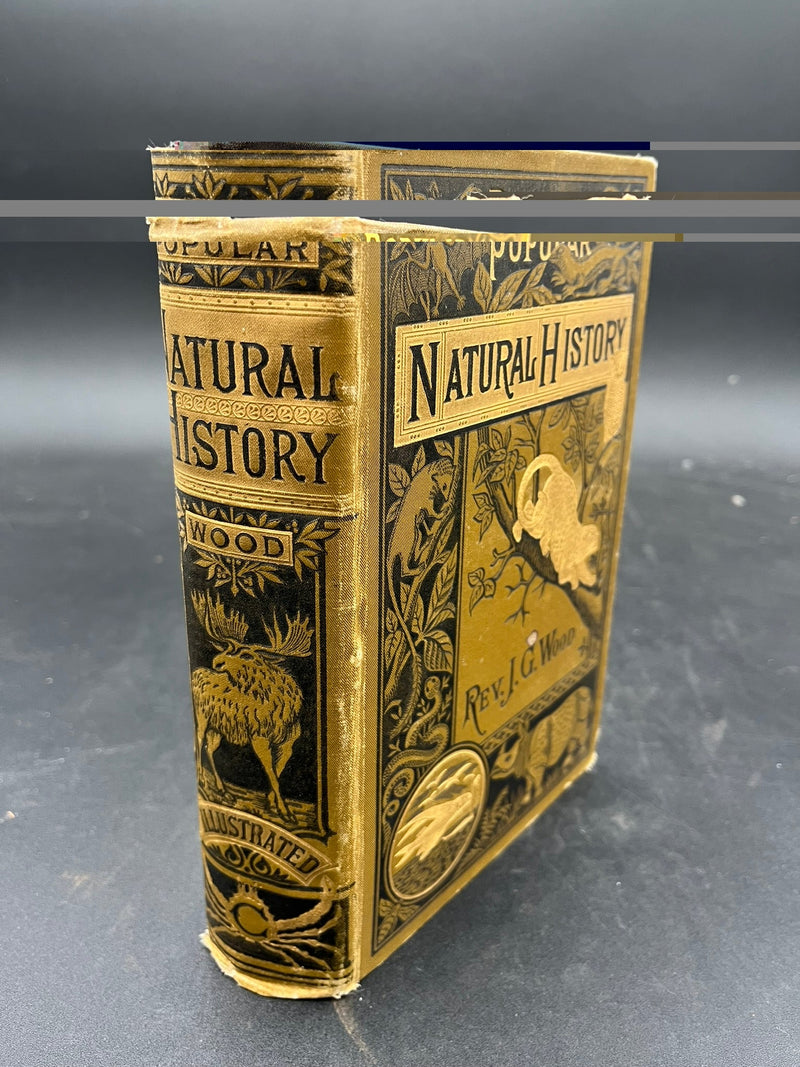 Popular Natural History