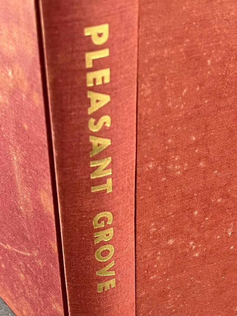 Research History of Pleasant Grove Township - Olmsted Copunty -Minnesota 1852-1960