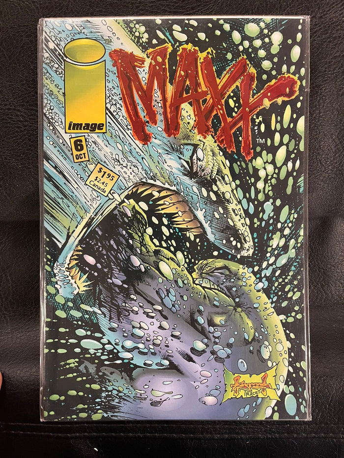 The Maxx #6