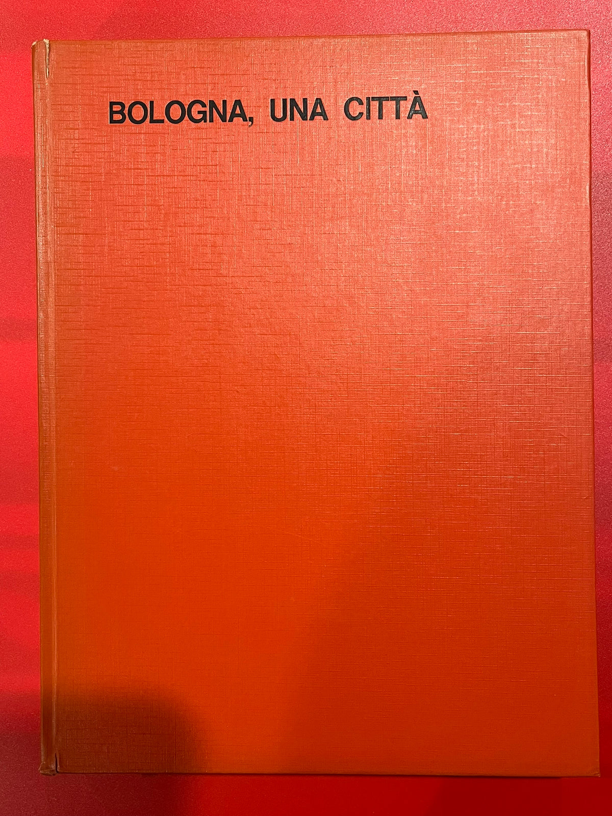 Bologna, Una Cita