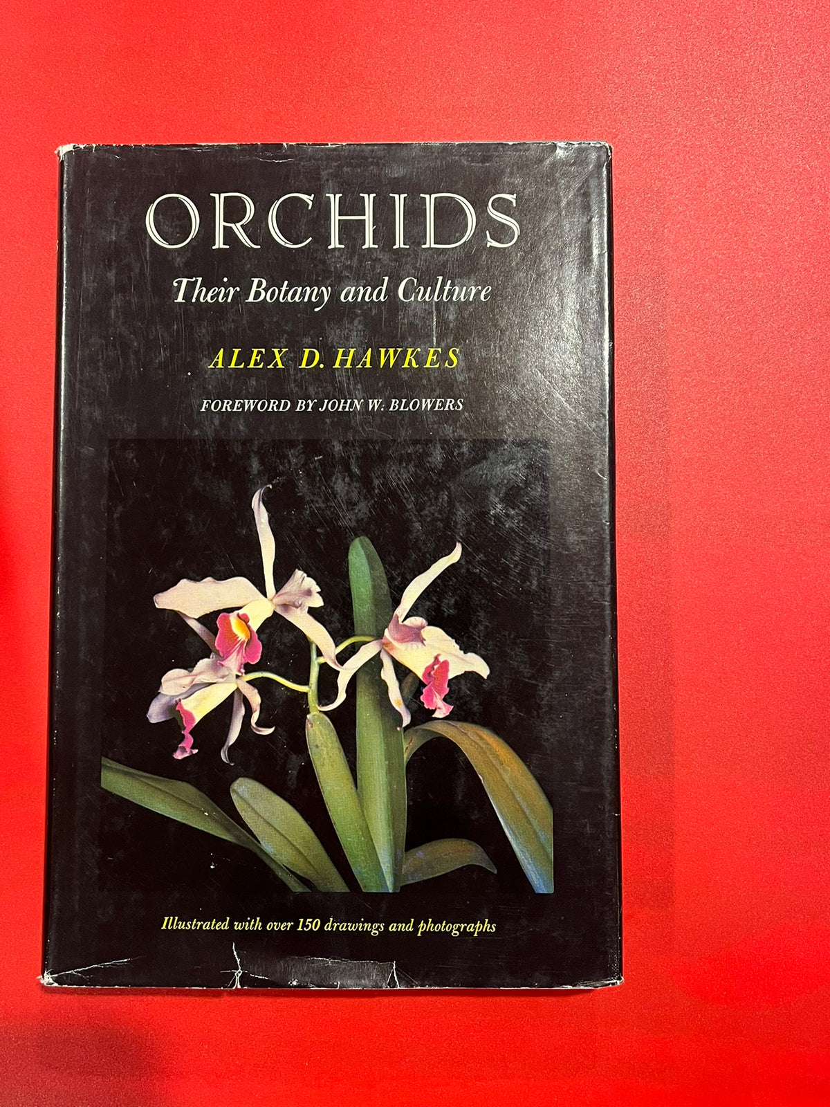 Orchids: Their Botany and Culture