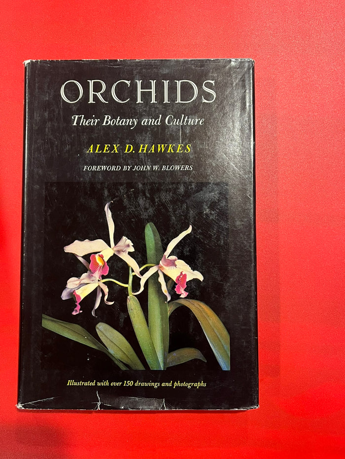 Orchids: Their Botany and Culture