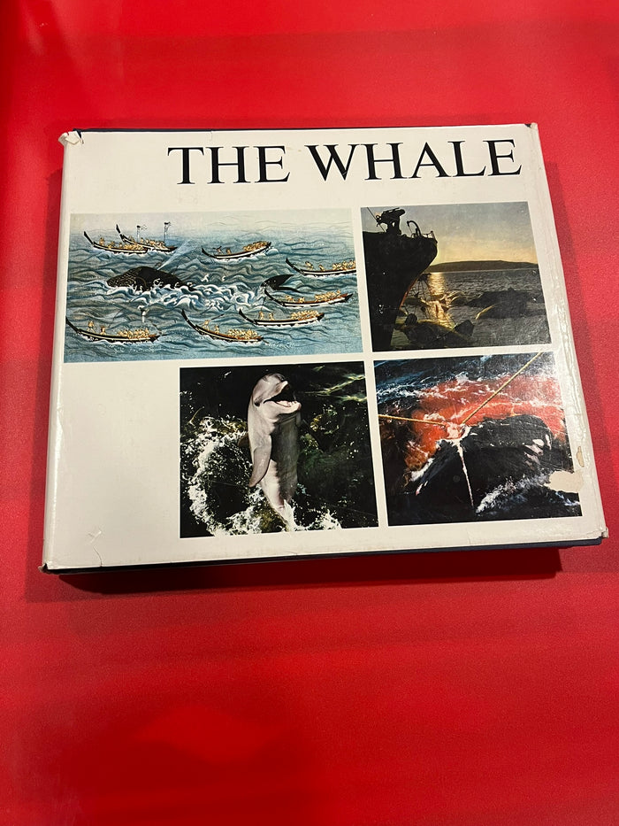 The Whale