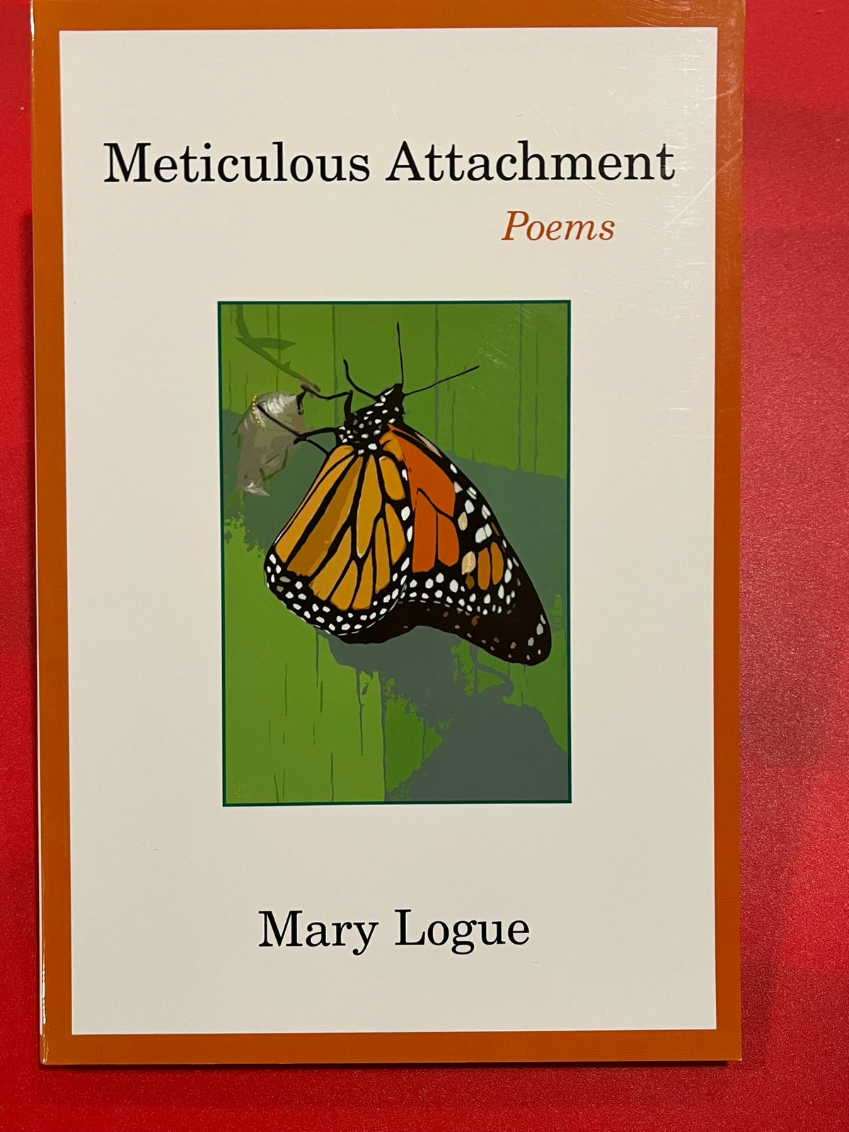 Meticulous Attachment : Poems