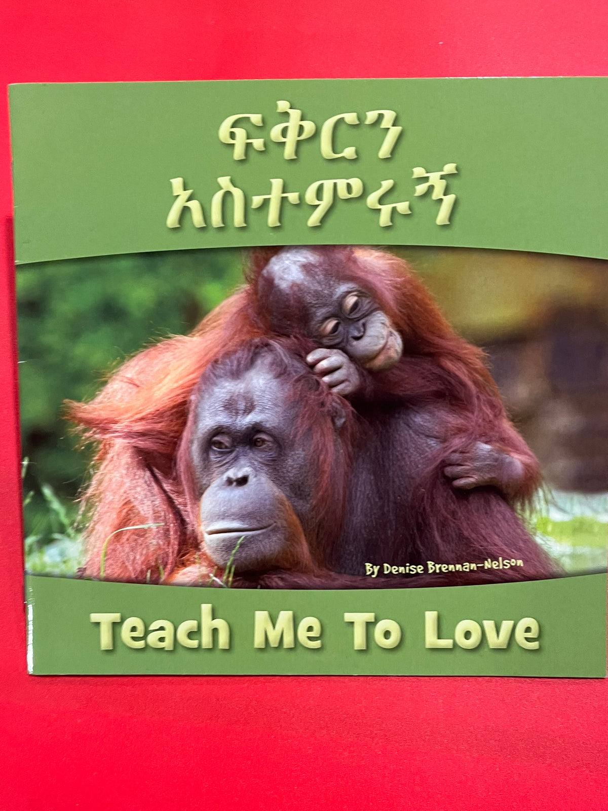Teach Me To Love