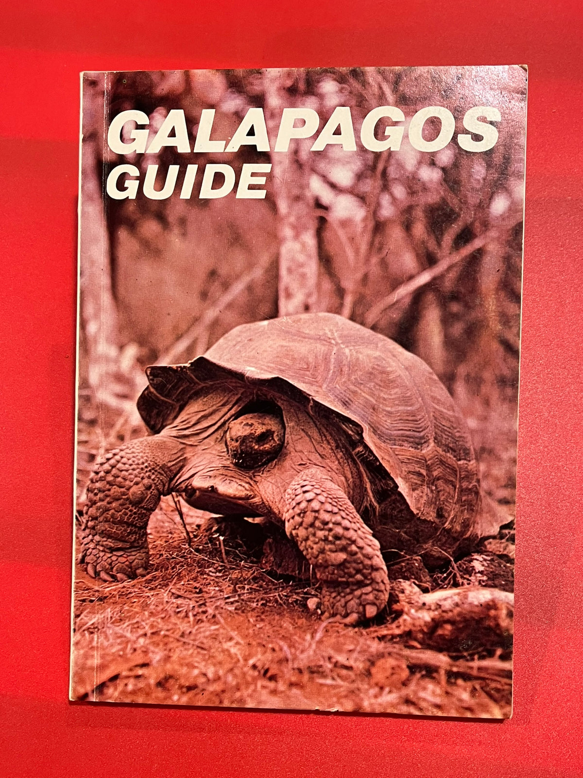 Galapagos Guide