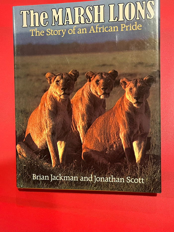 The Marsh Lions: The Story of an African Pride