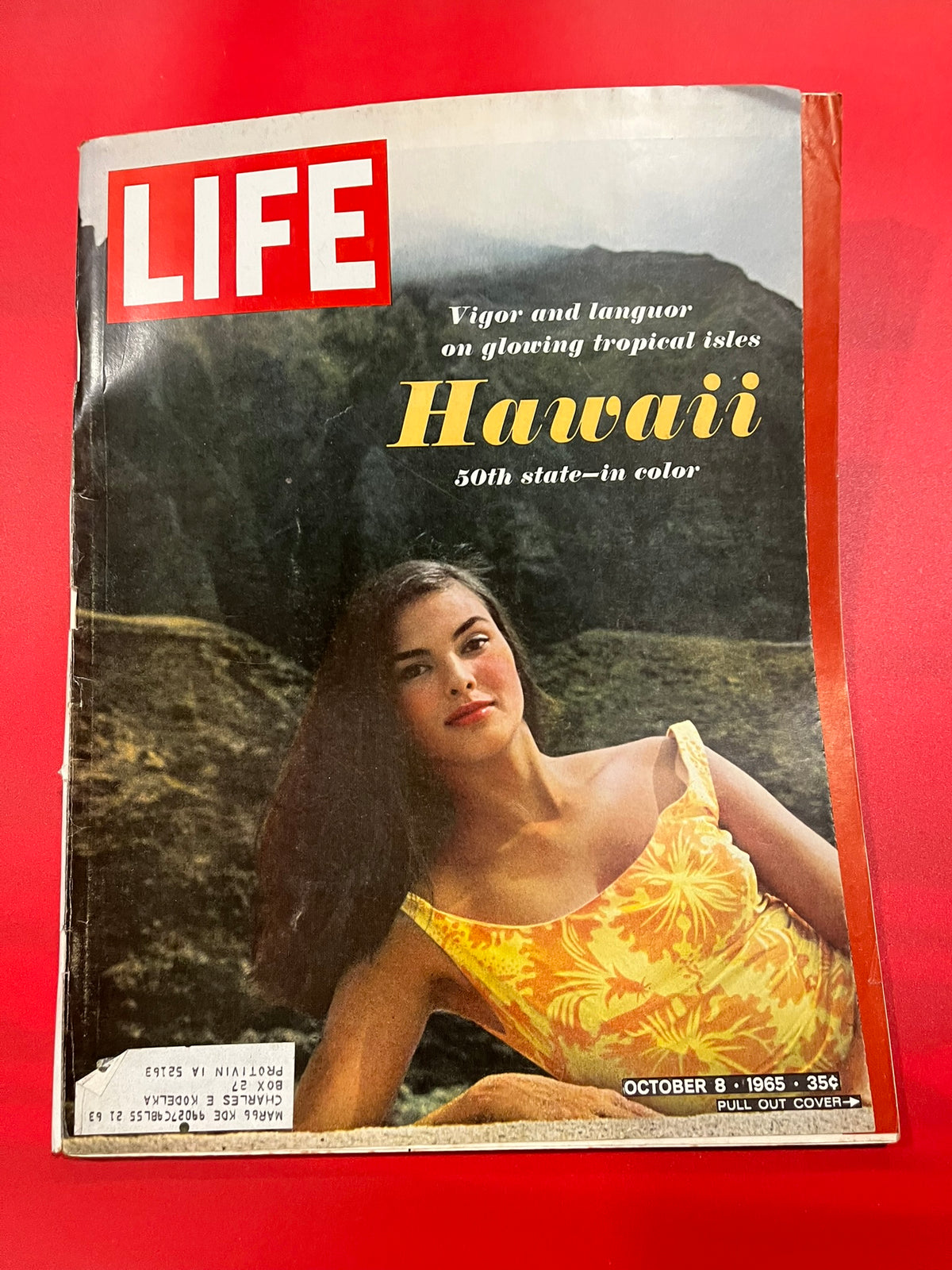 Life Magazine   October 8, 1965