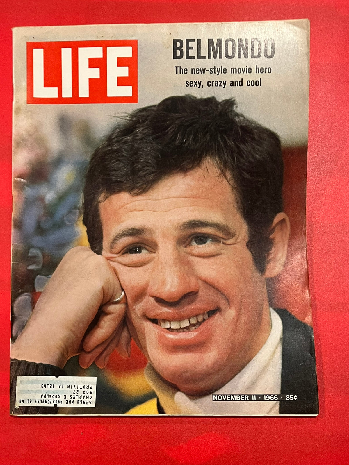 Life Magazine    November 11, 1966