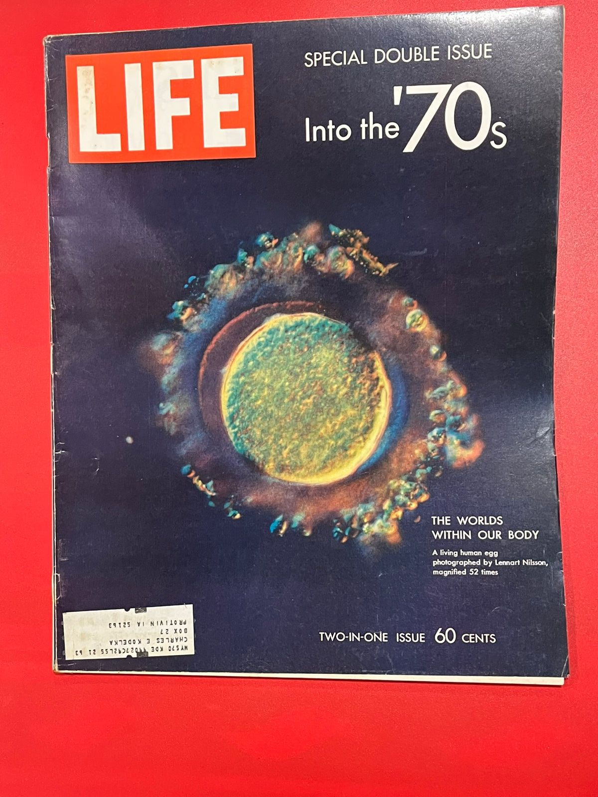 Life Magazine   February 9, 1970