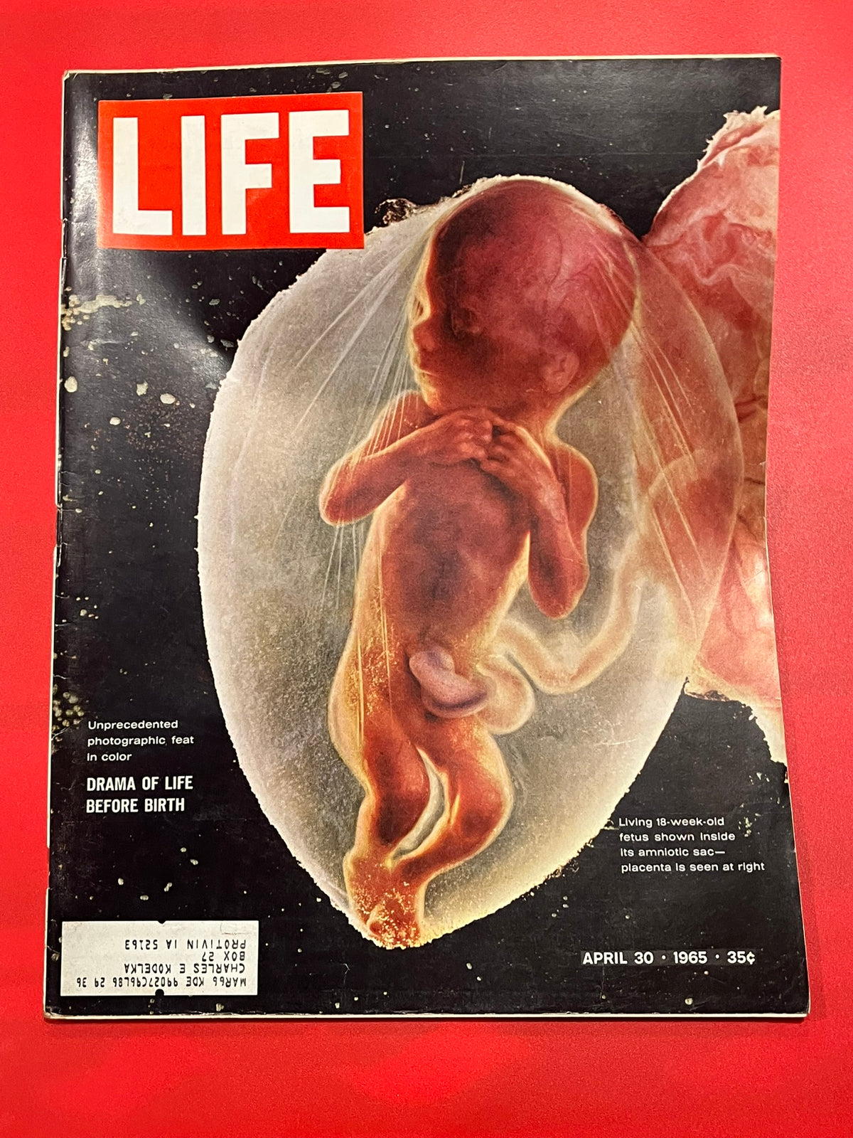 Life Magazine   April 30, 1965
