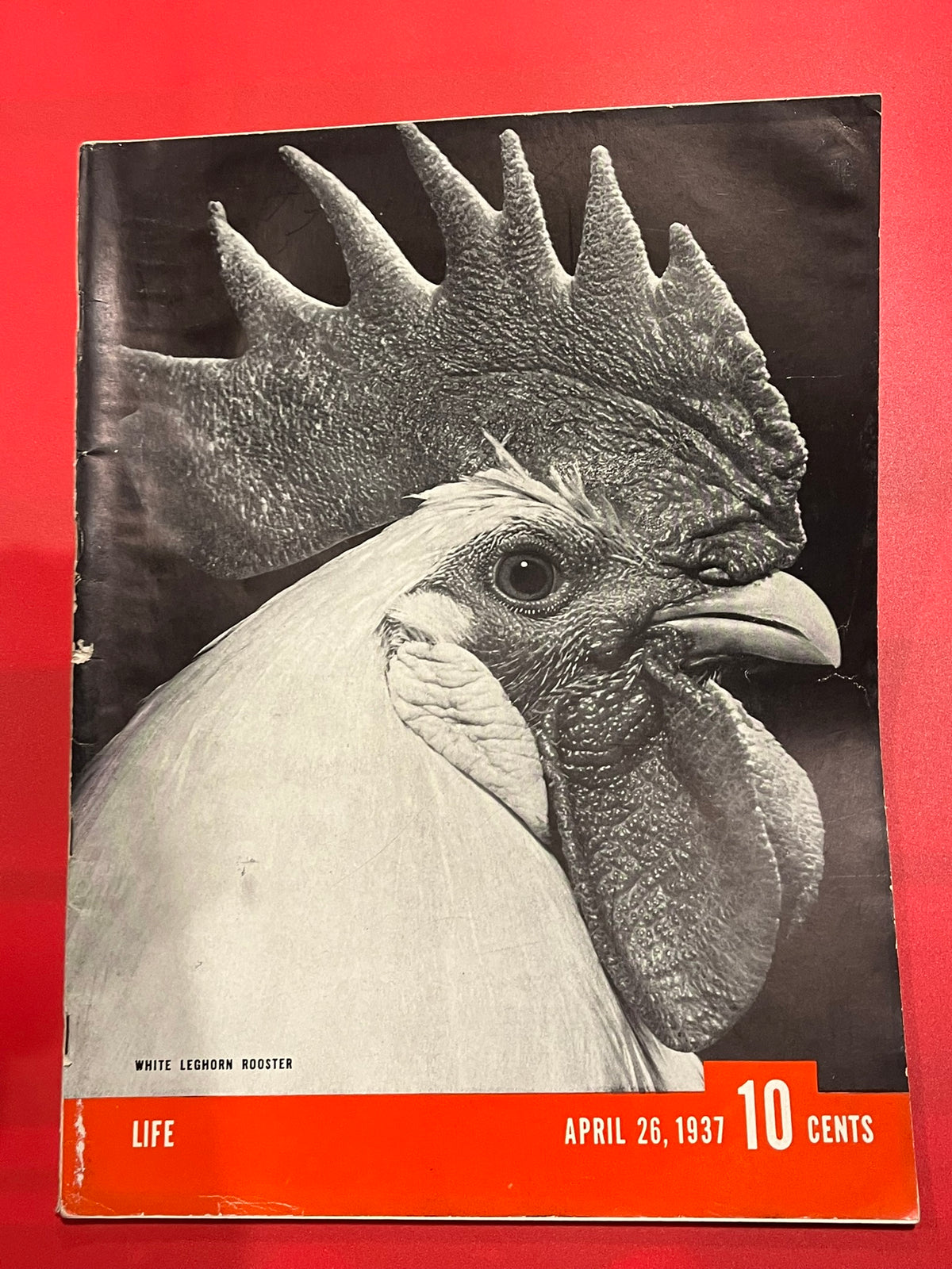 Life Magazine   Apirl 26, 1937