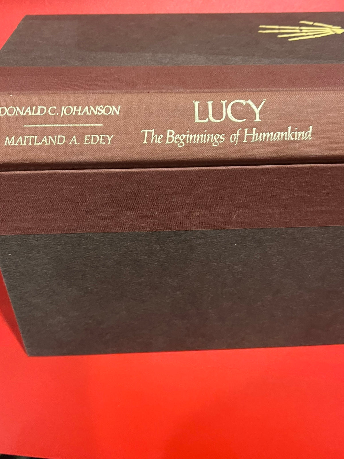 Lucy: The Beginnings of Humankind