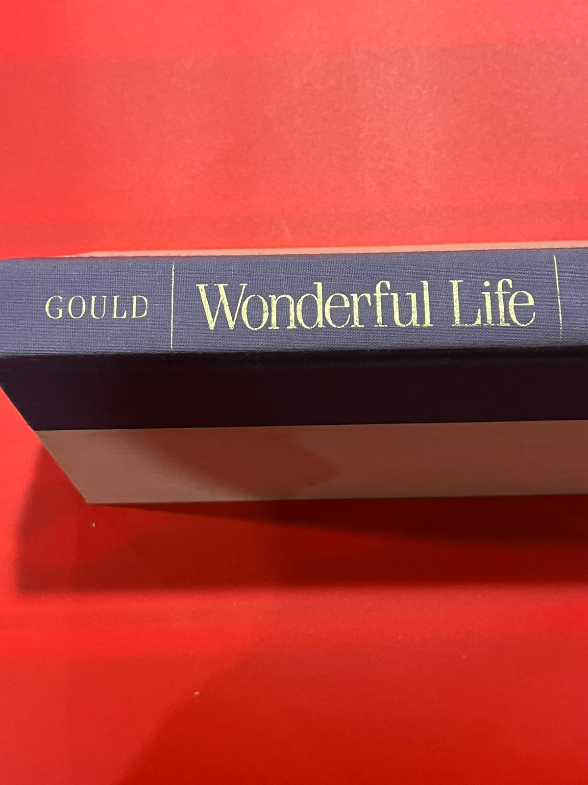 Wonderful Life