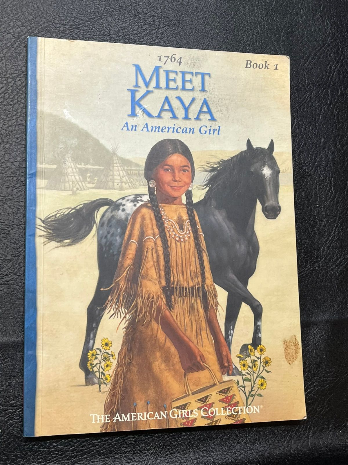 1764 Meet Kaya : An American Girl