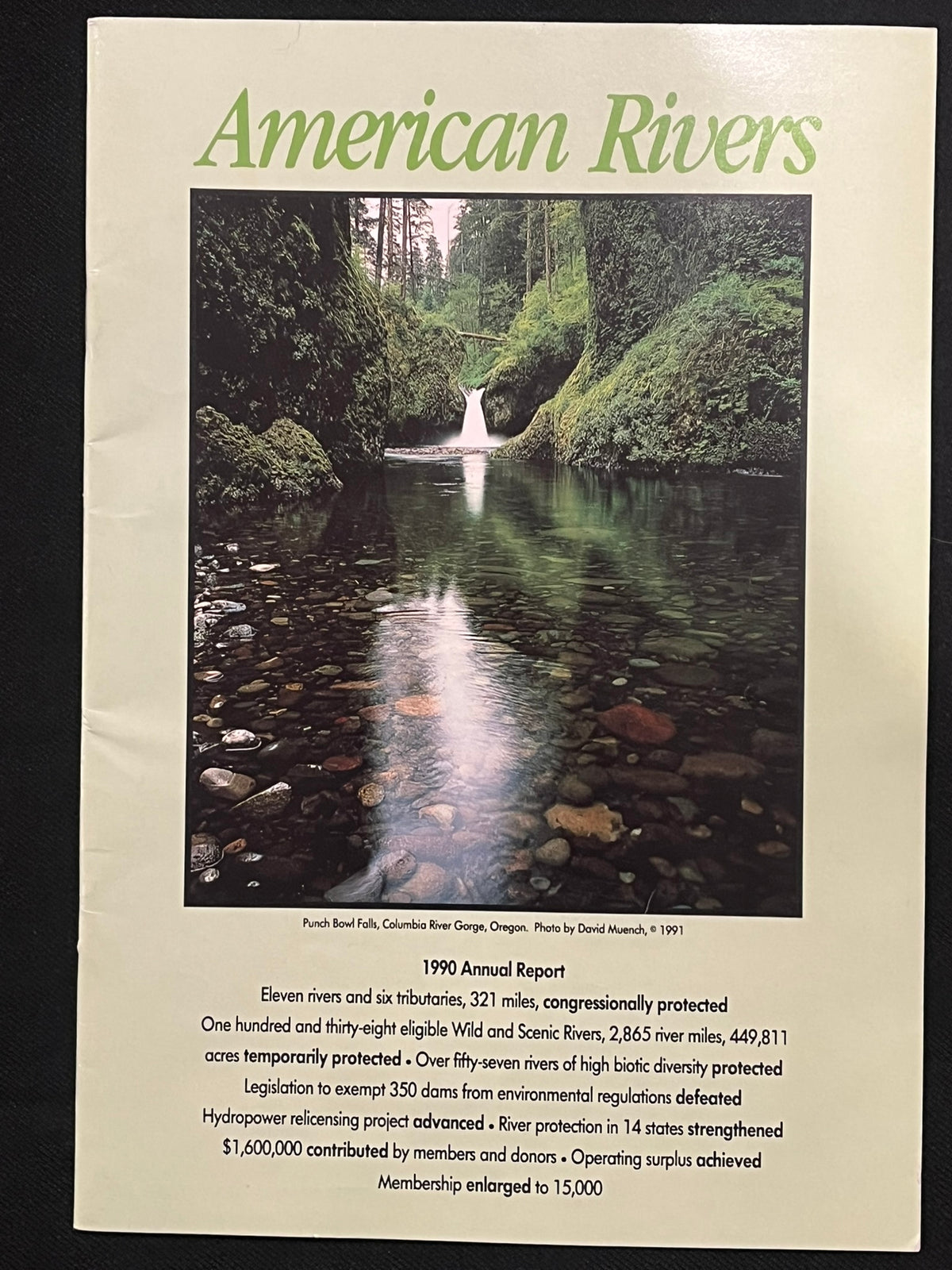 American Rivers  1990 Annual Report