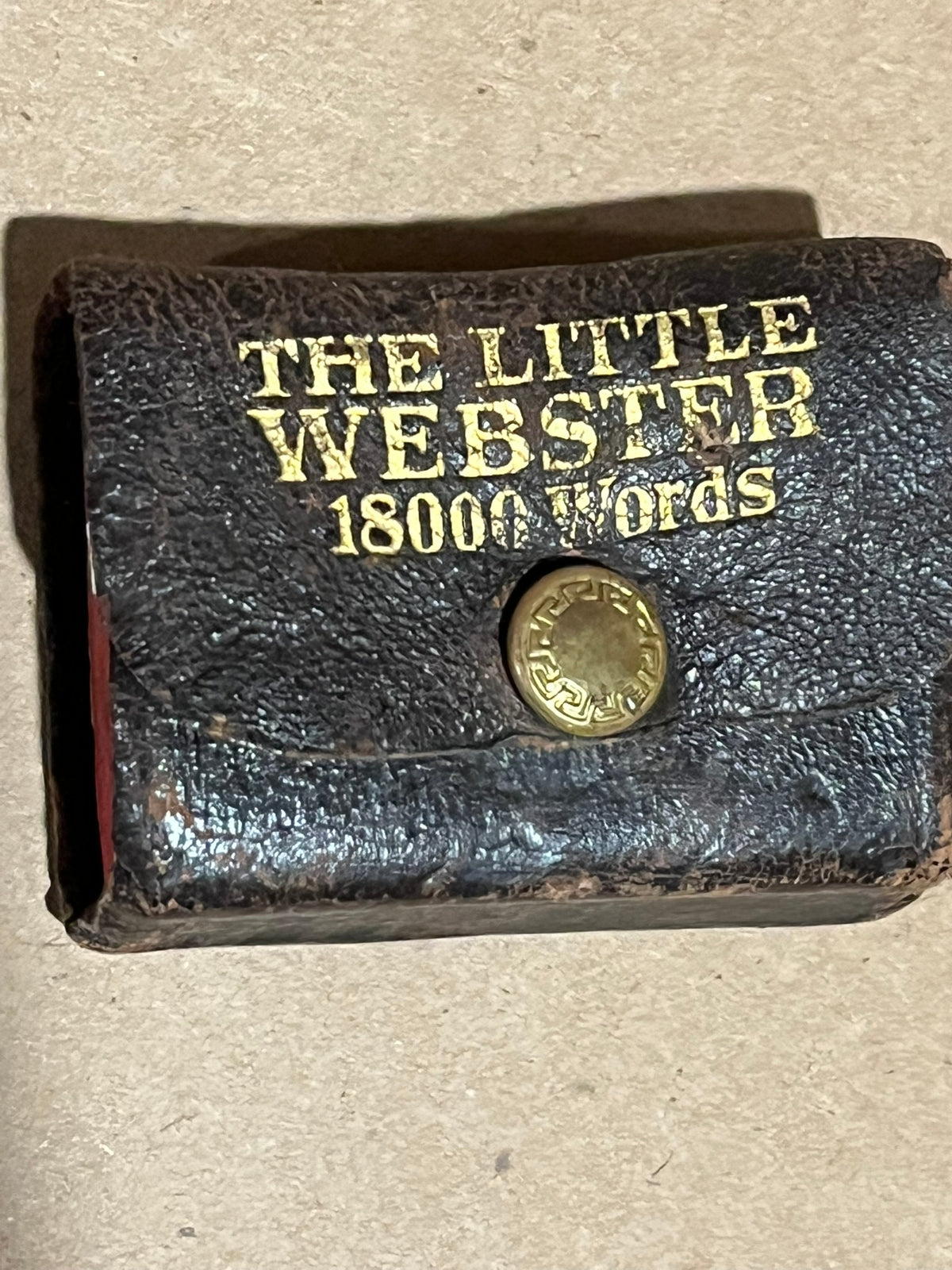 The Little Webster   - 18,000 Words