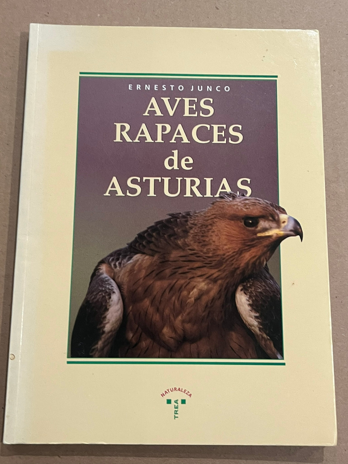 Aves Rapaces De Asturias