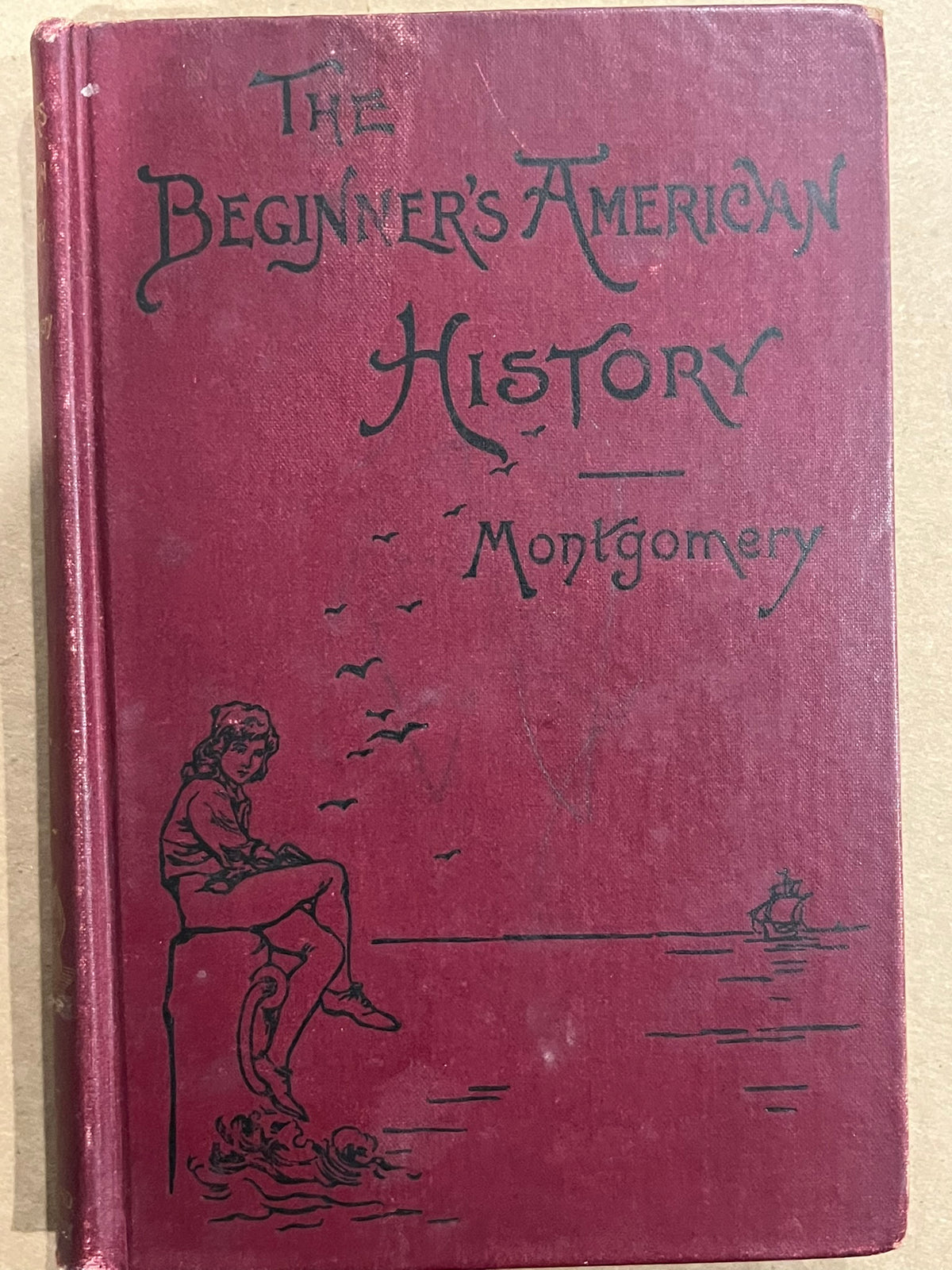 The Beginner's American History