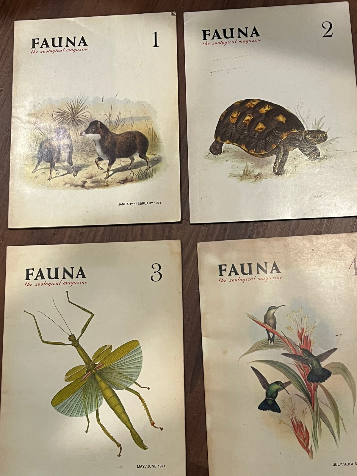 Fauna : The Zoological Magazine (No. 11-4)