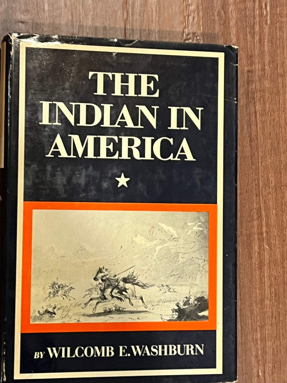 The Indian In America