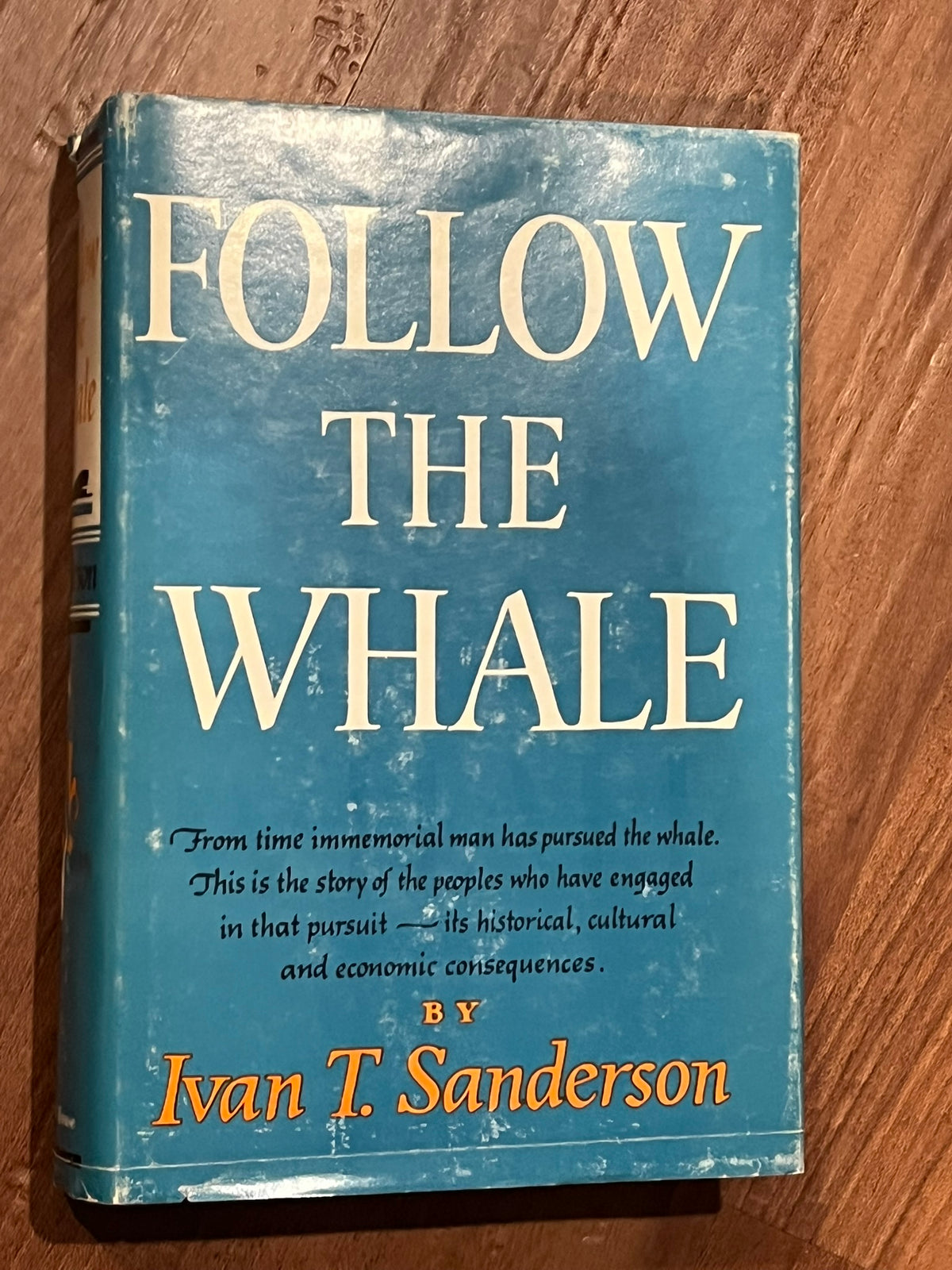 Follow The Whale