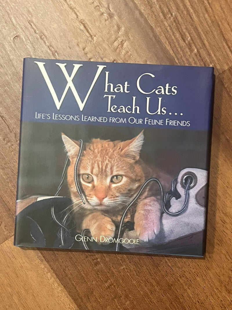 What Cats Teach Us