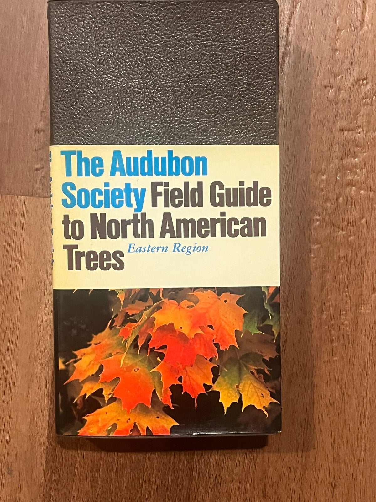 The Audubon Socity Field Guide to North American Trees