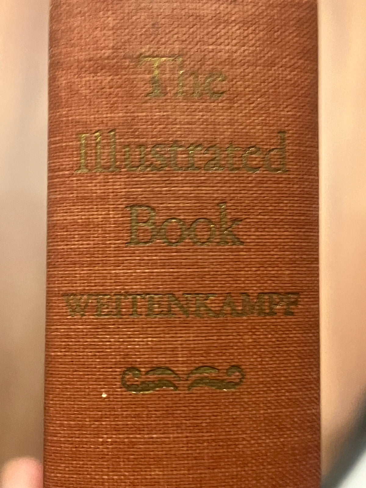 The Illustrated Book
