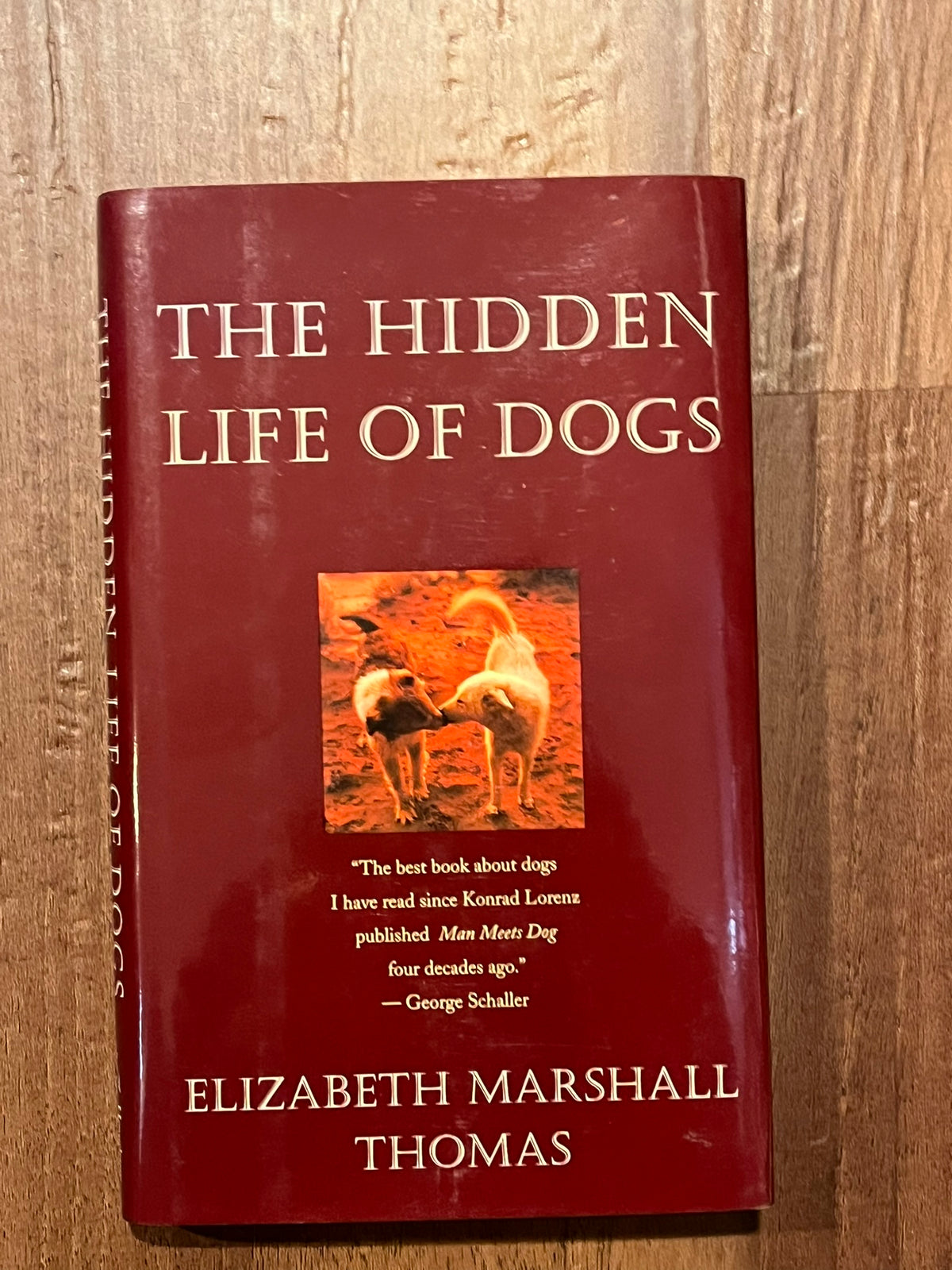 The Hidden Life of Dogs