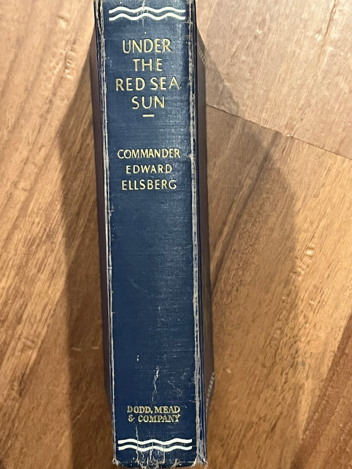 Under The Red Sea Sun
