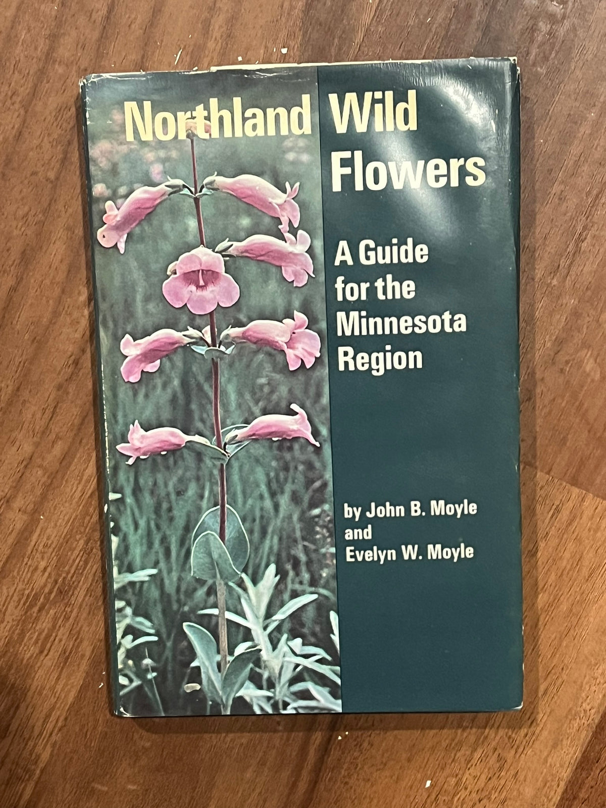 Northland Wild Flowers: A Guide for the Minnesota Region