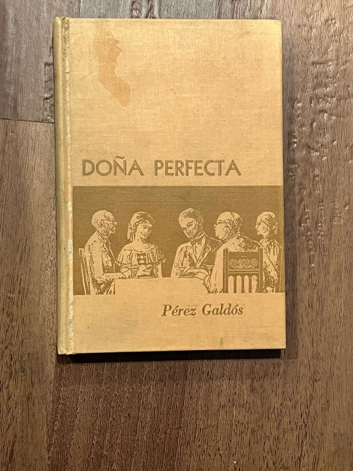 Dona Perfecta