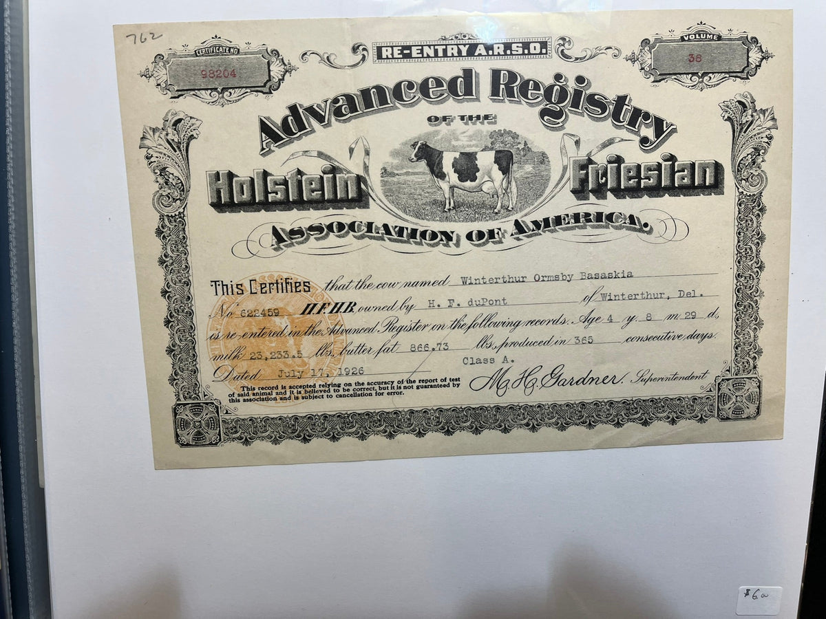 Holstein Fresian Advanced Registry