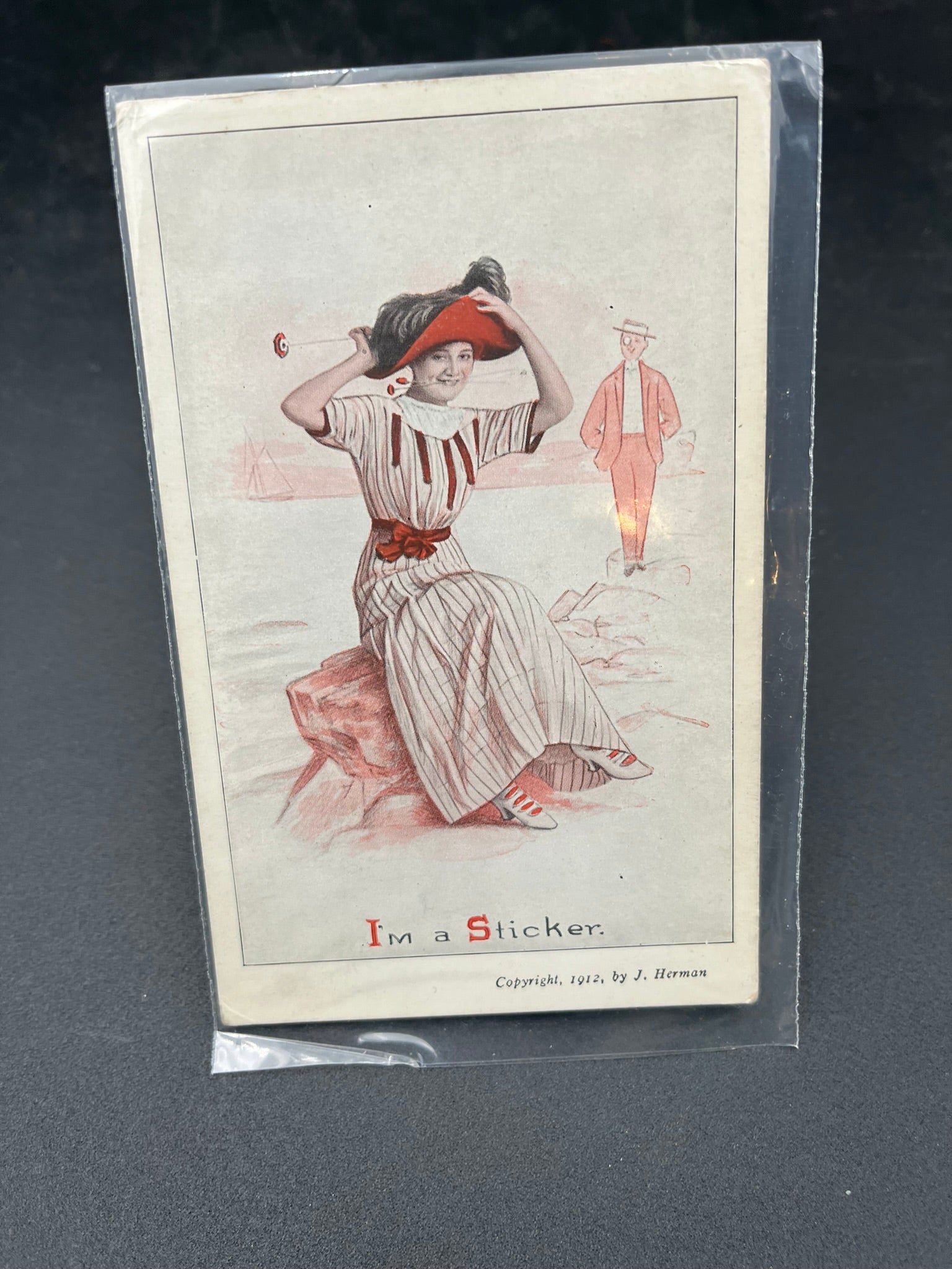I'm a Sticker – History Bound